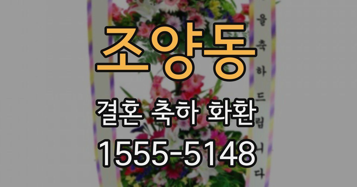 조양동 결혼 축하 화환
