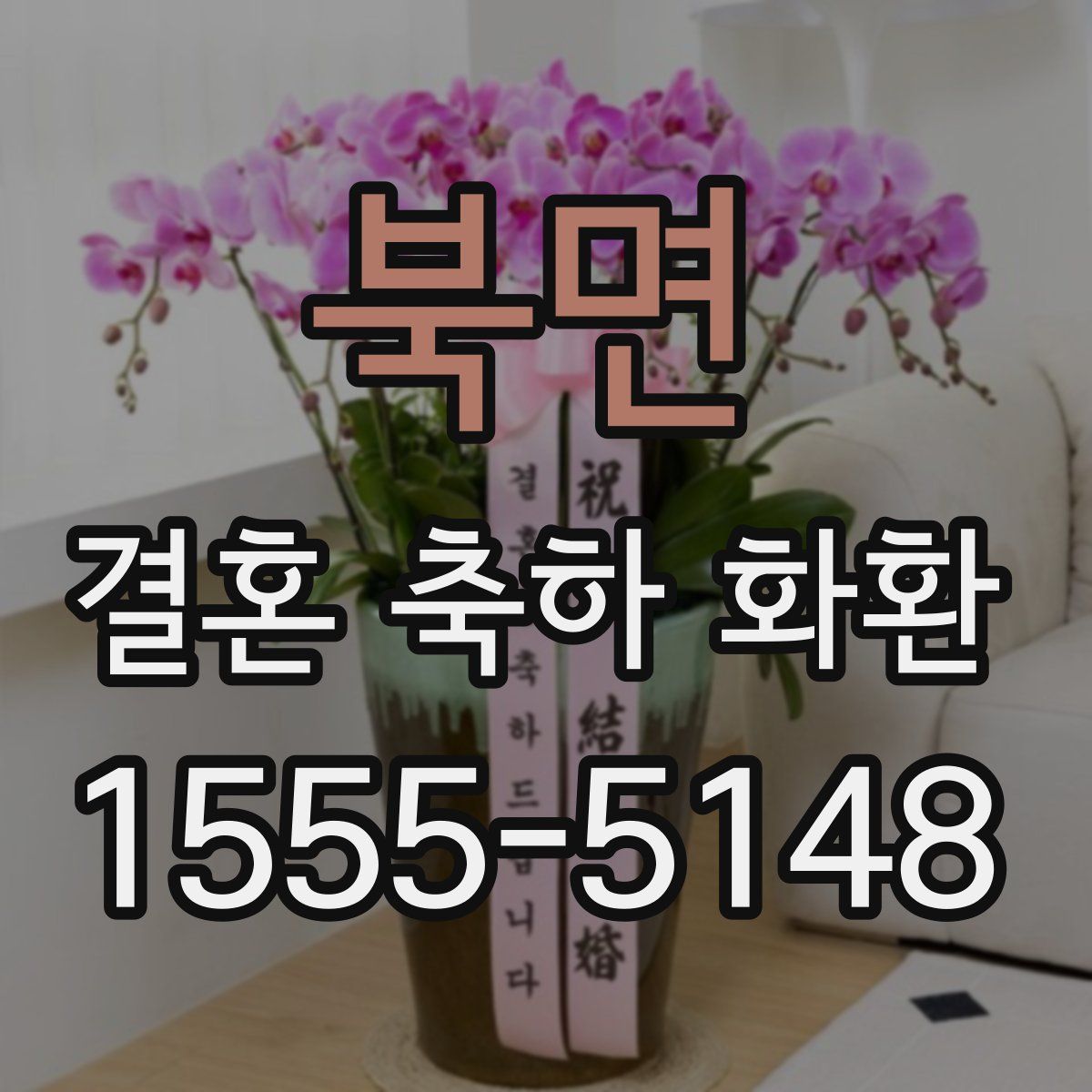 북면 결혼 축하 화환