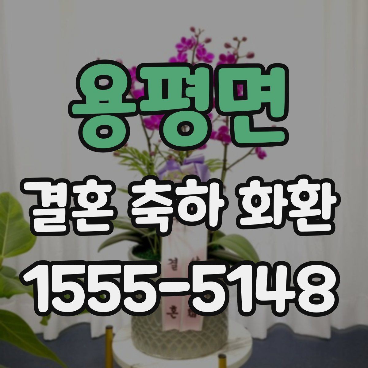 용평면 결혼 축하 화환 문구를 상황에 맞게 쓰는 법