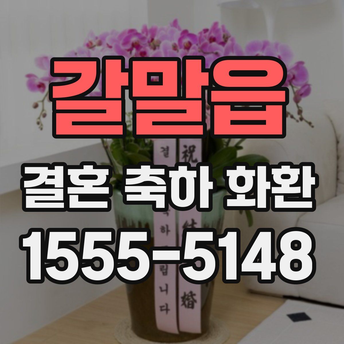 갈말읍 결혼 축하 화환