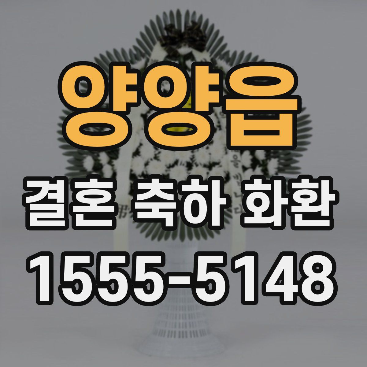 양양읍 결혼 축하 화환