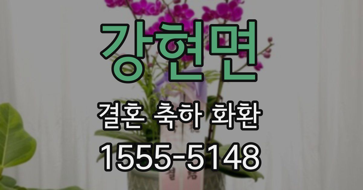 강현면 결혼 축하 화환