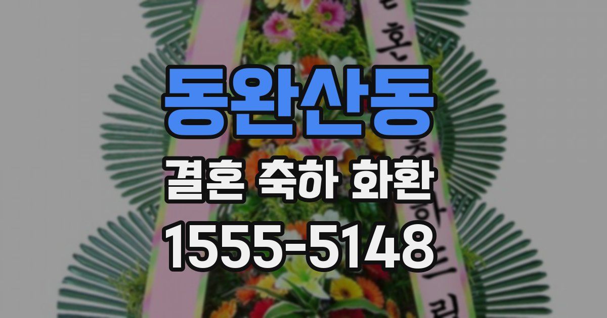 동완산동 결혼 축하 화환
