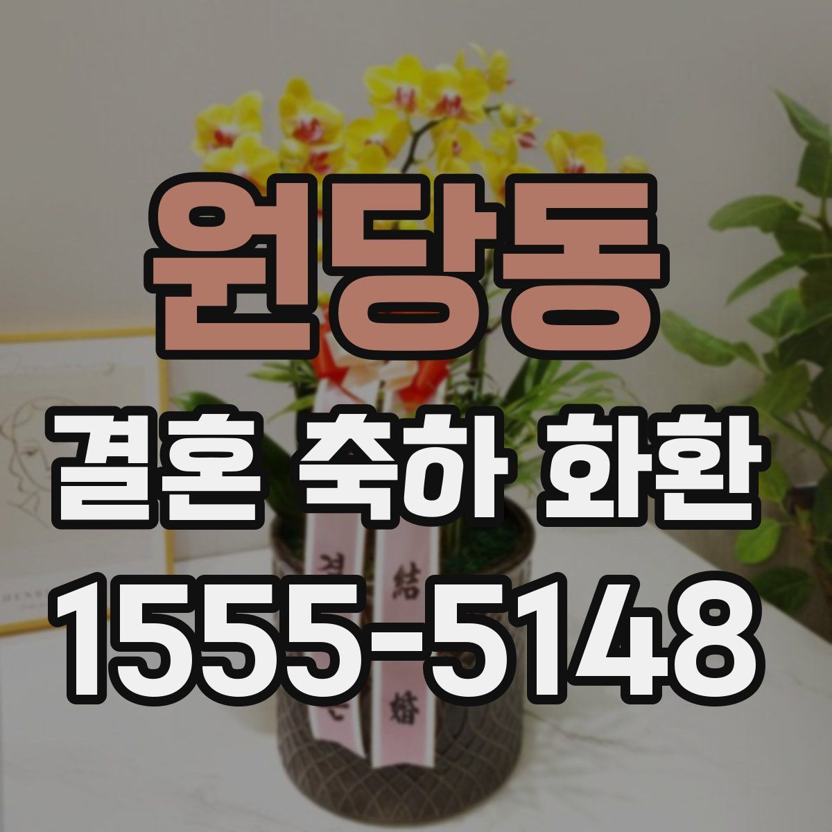원당동 결혼 축하 화환