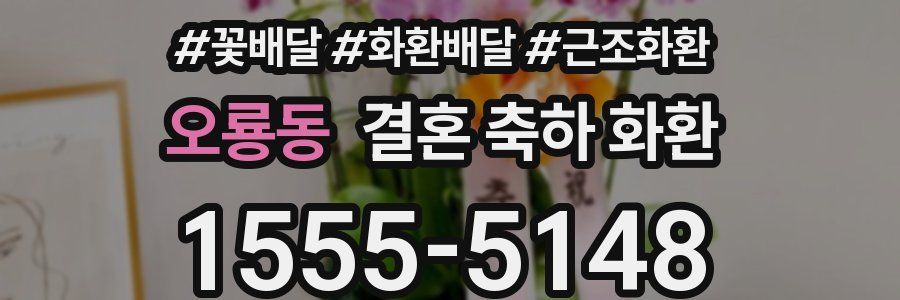 오룡동 결혼 축하 화환