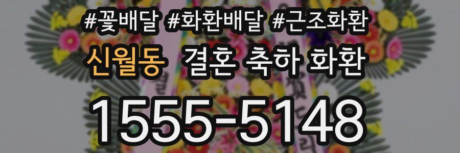 신월동 결혼 축하 화환