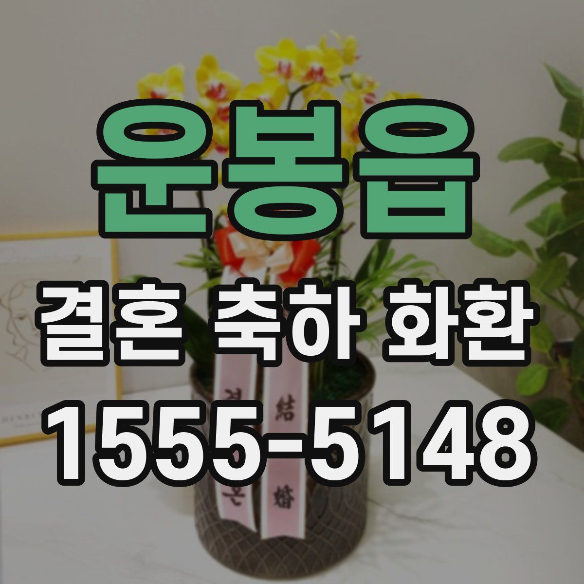 운봉읍 결혼 축하 화환