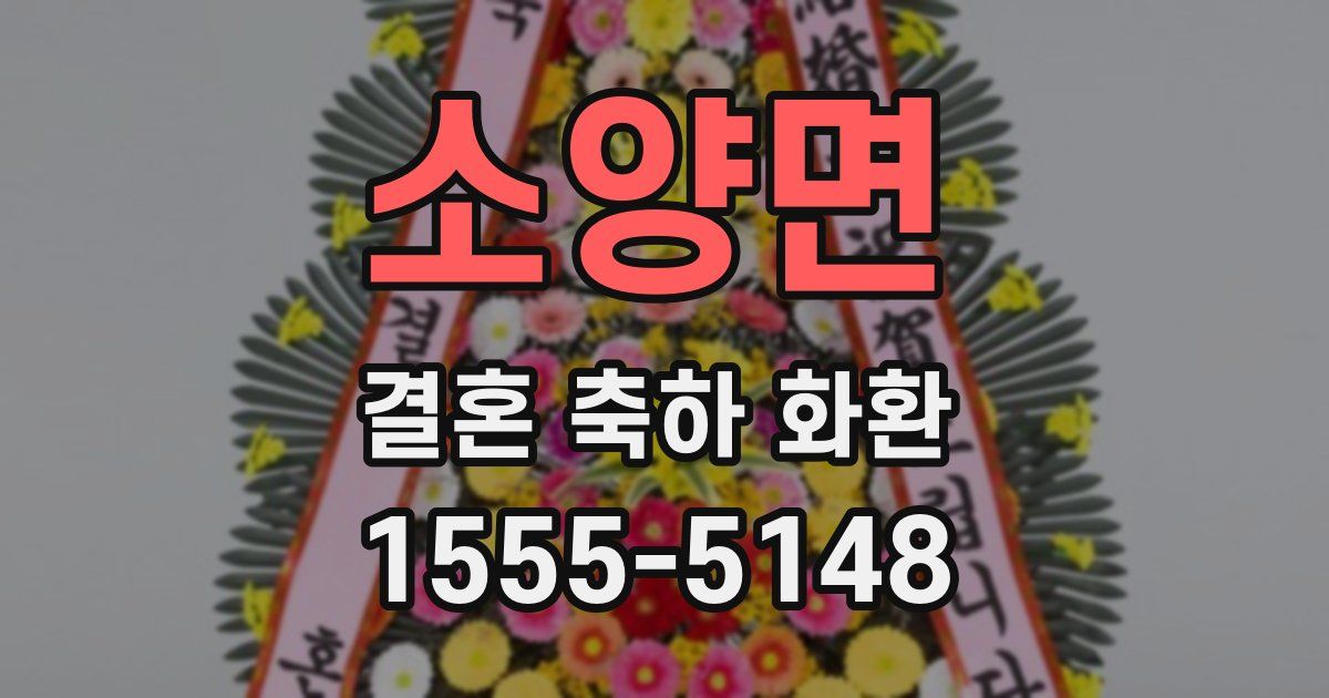 소양면 결혼 축하 화환