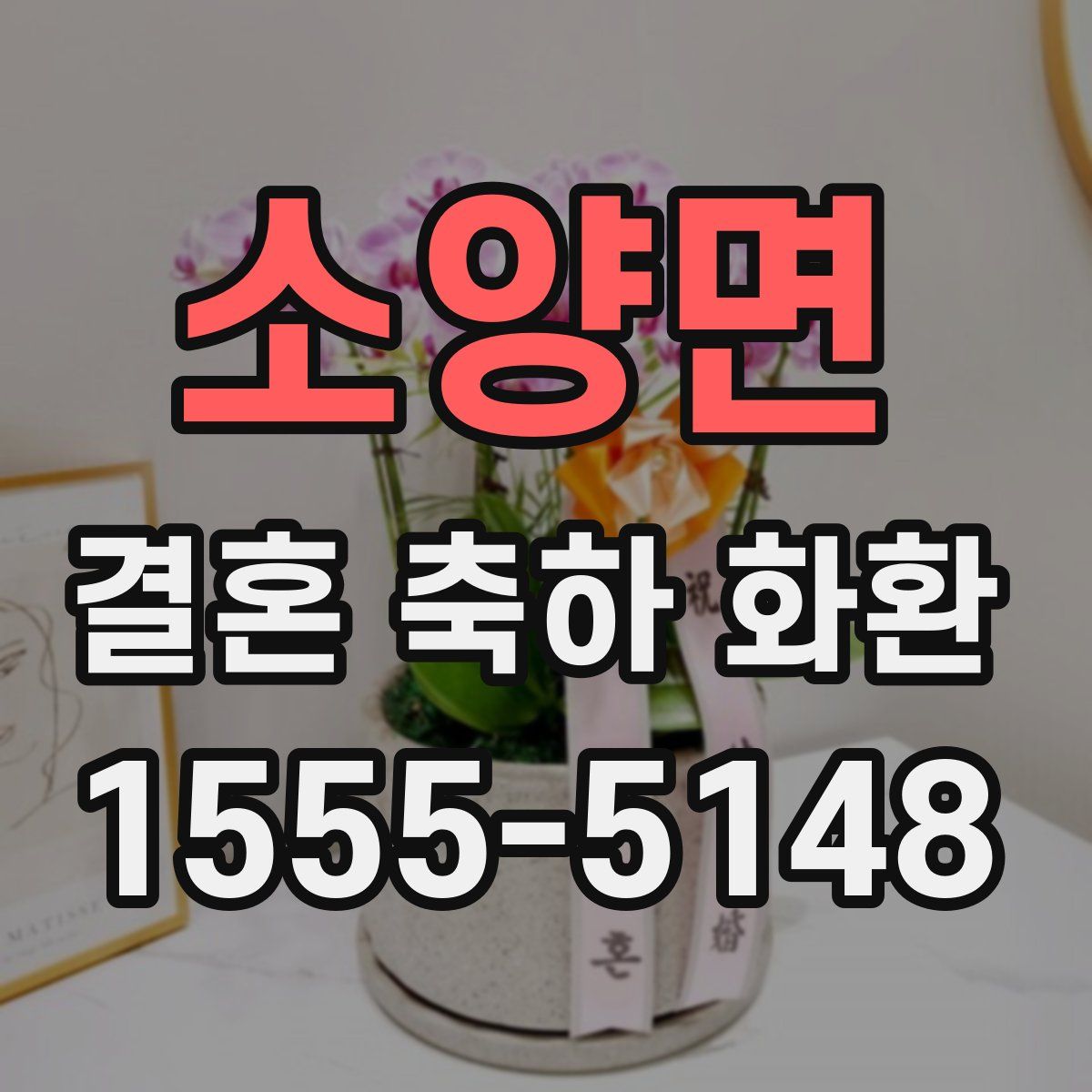 소양면 결혼 축하 화환