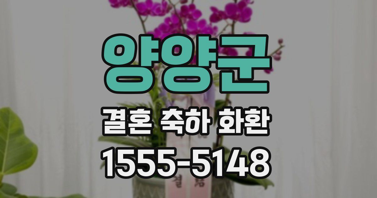 양양군 결혼 축하 화환