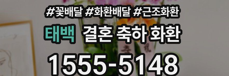 태백 결혼 축하 화환