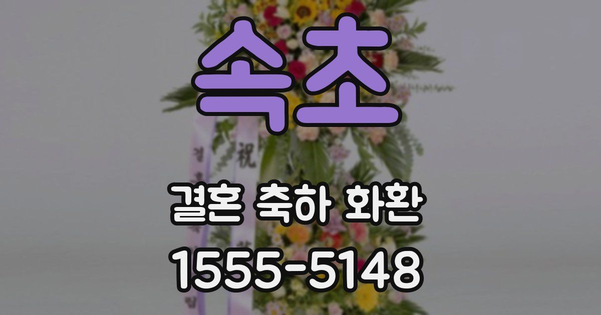 속초 결혼 축하 화환