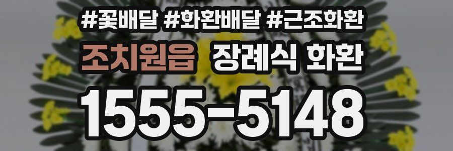 조치원읍 장례식 화환