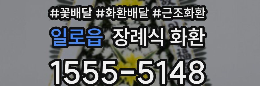 일로읍 장례식 화환