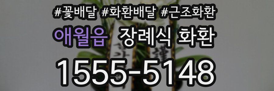 애월읍 장례식 화환