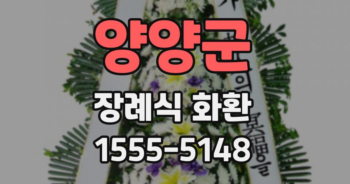 양양군 장례식 화환