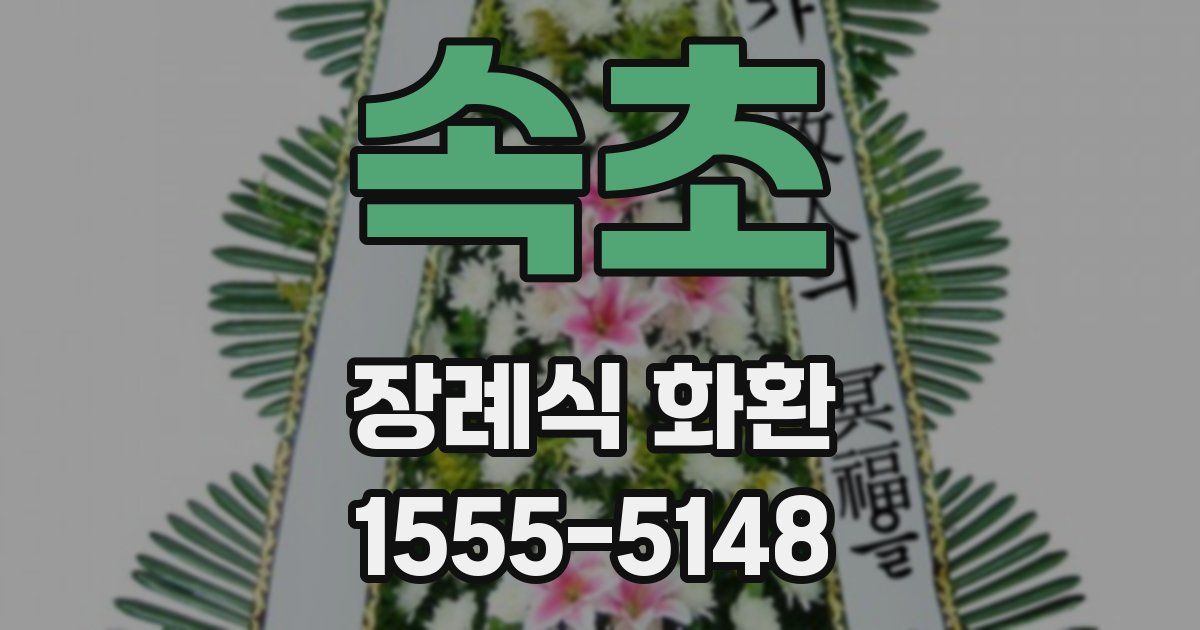 속초 장례식 화환