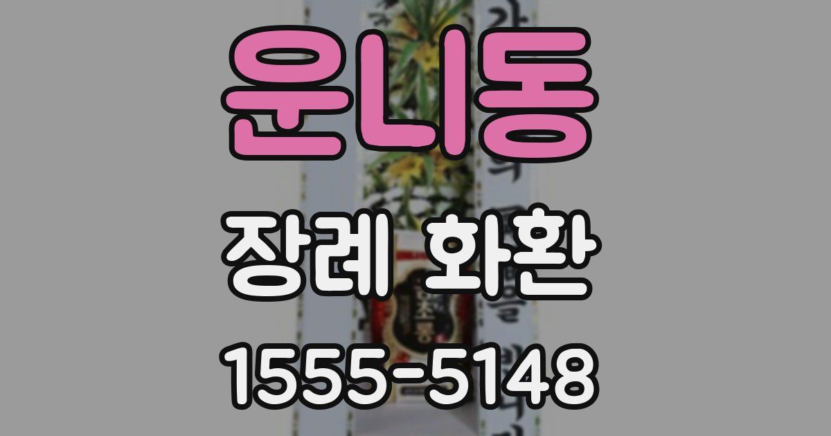 운니동 장례 화환