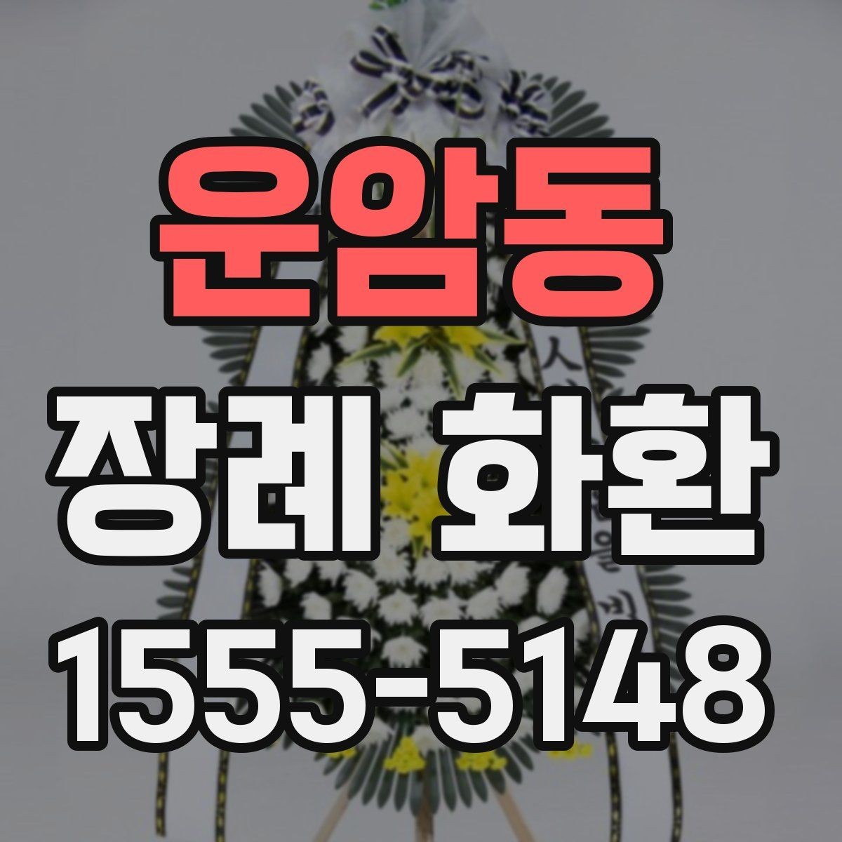 운암동 장례 화환 꽃 종류에 따른 느낌 차이