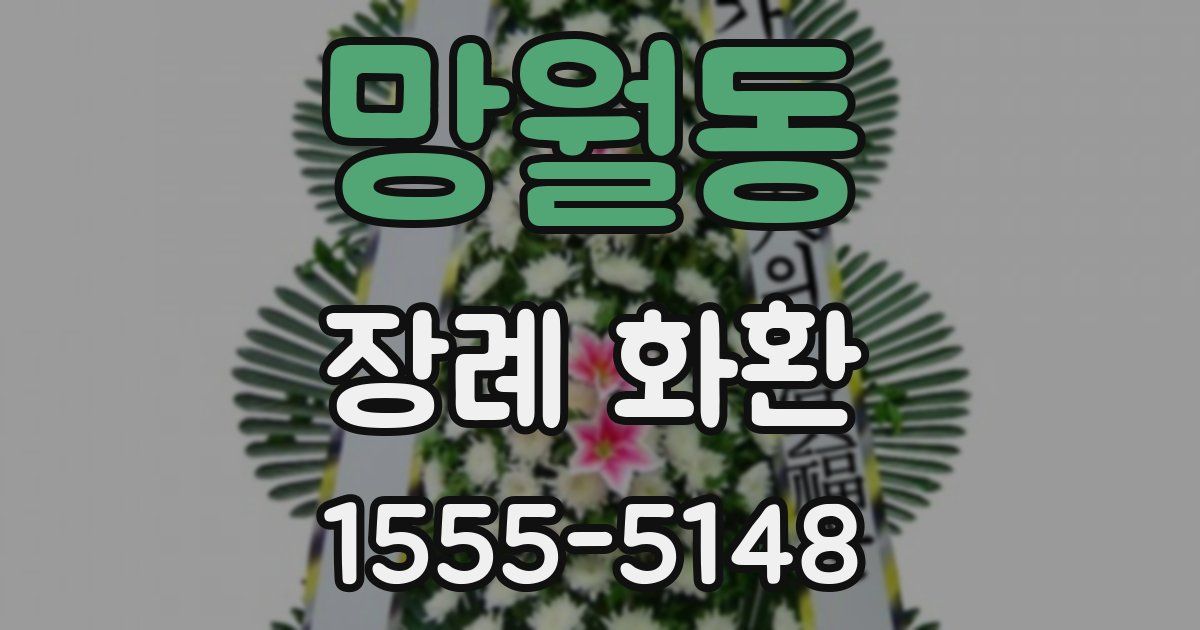 망월동 장례 화환