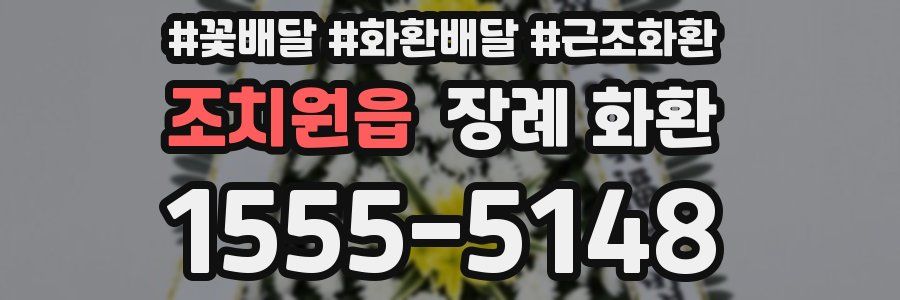 조치원읍 장례 화환