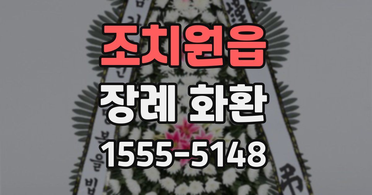 조치원읍 장례 화환