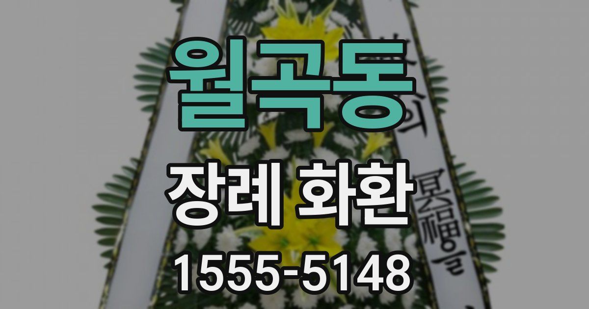 월곡동 장례 화환