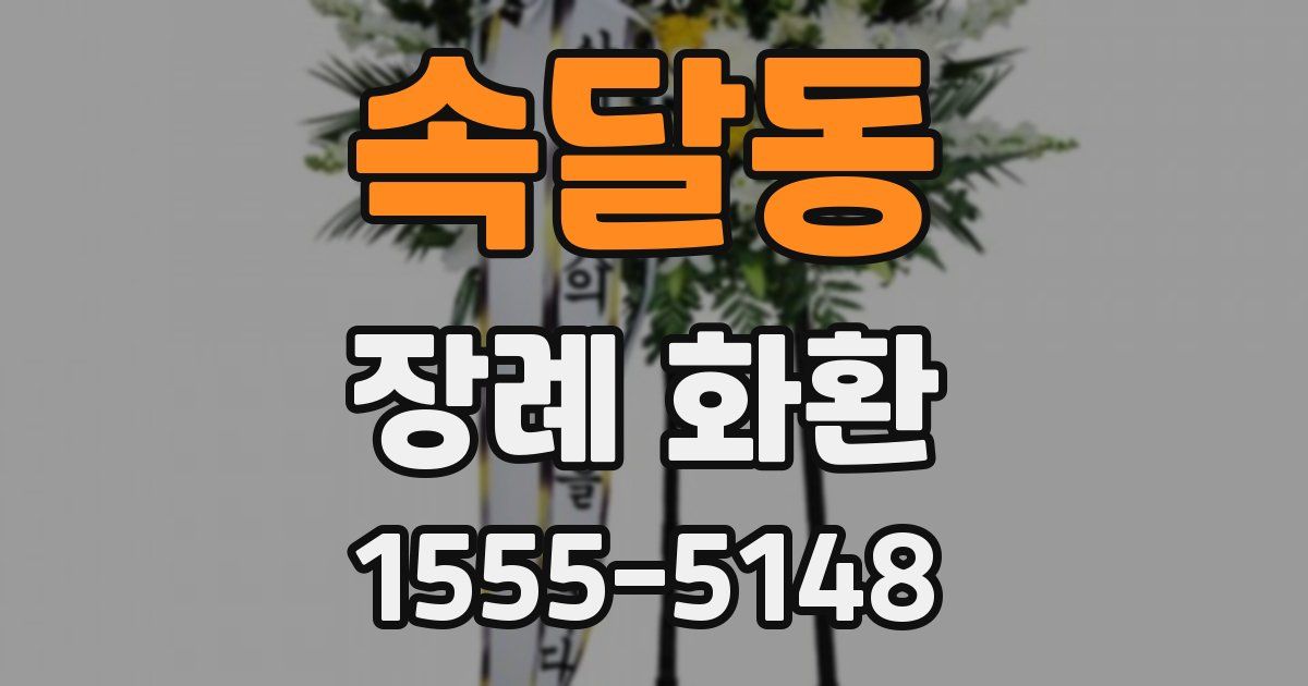 속달동 장례 화환