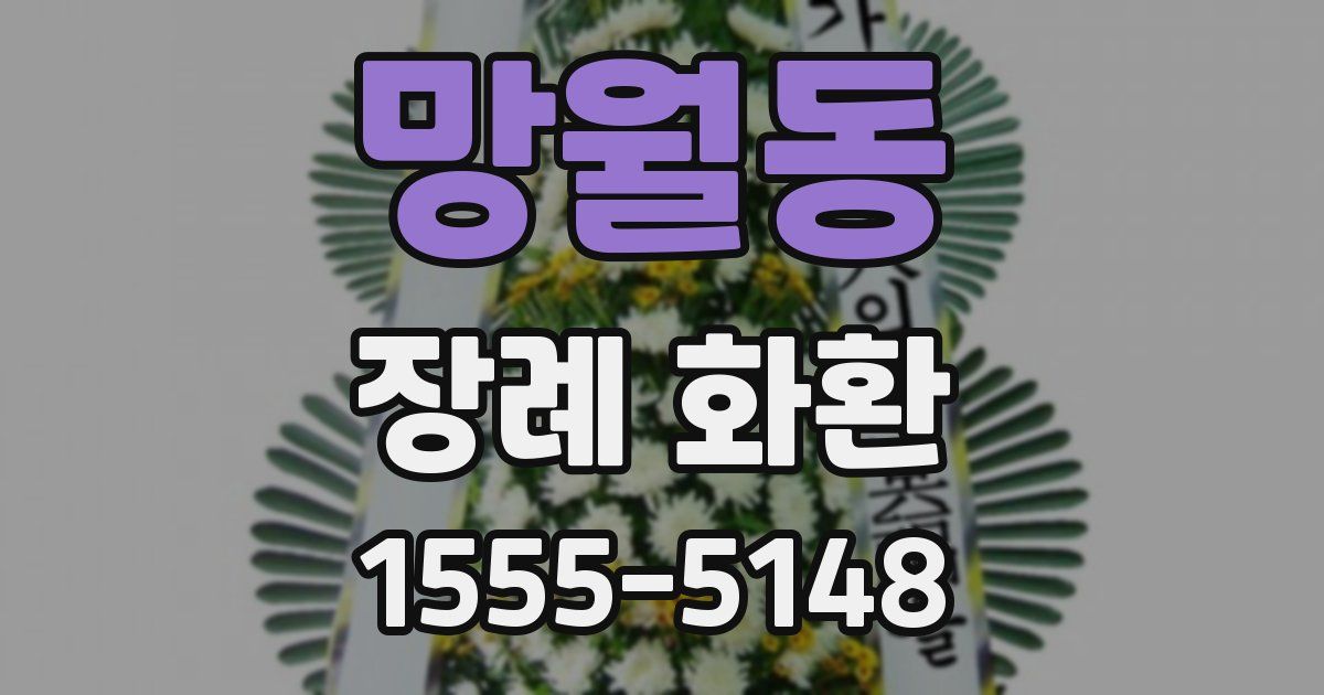 망월동 장례 화환