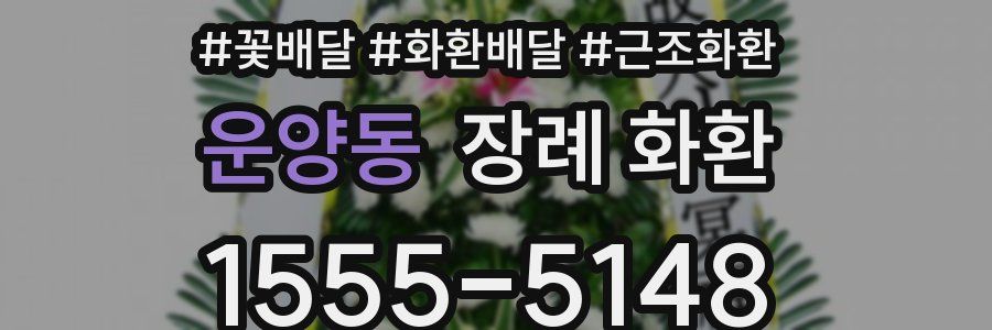 운양동 장례 화환