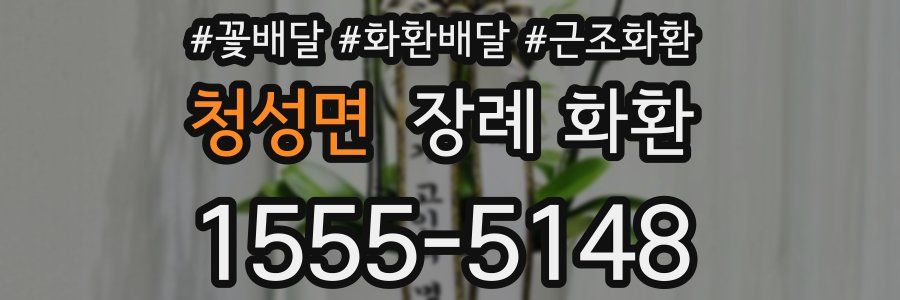 청성면 장례 화환