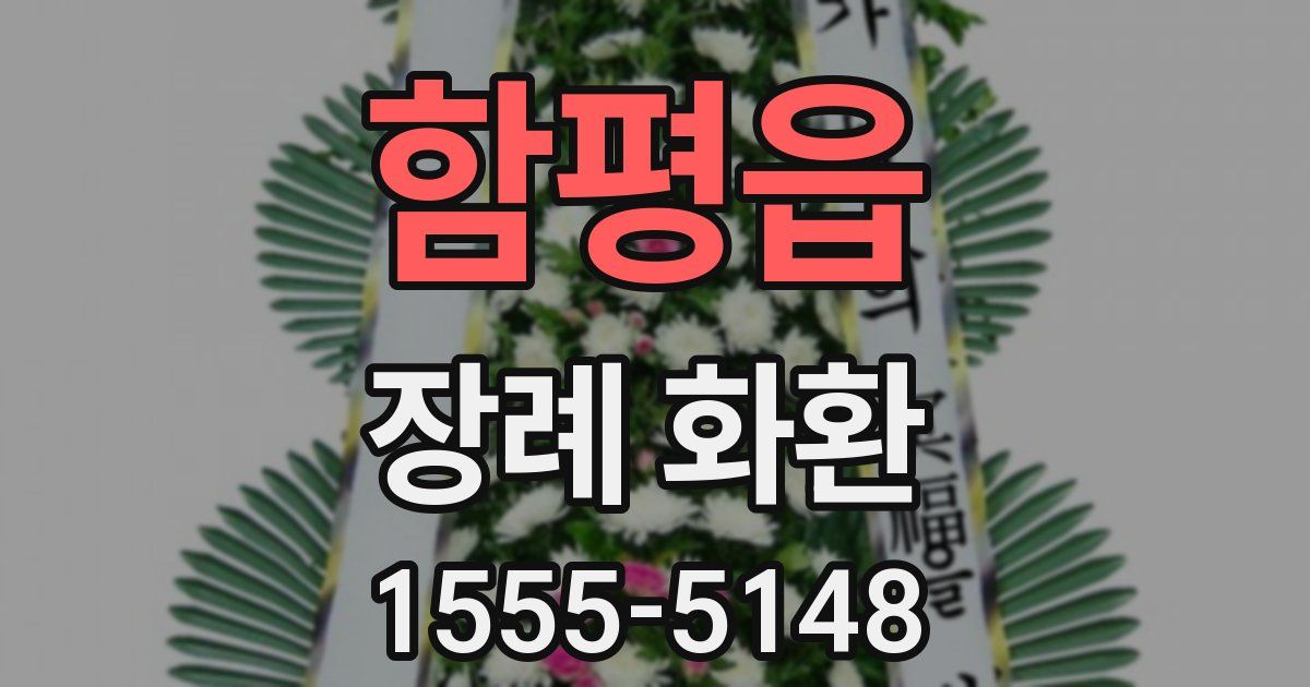 함평읍 장례 화환