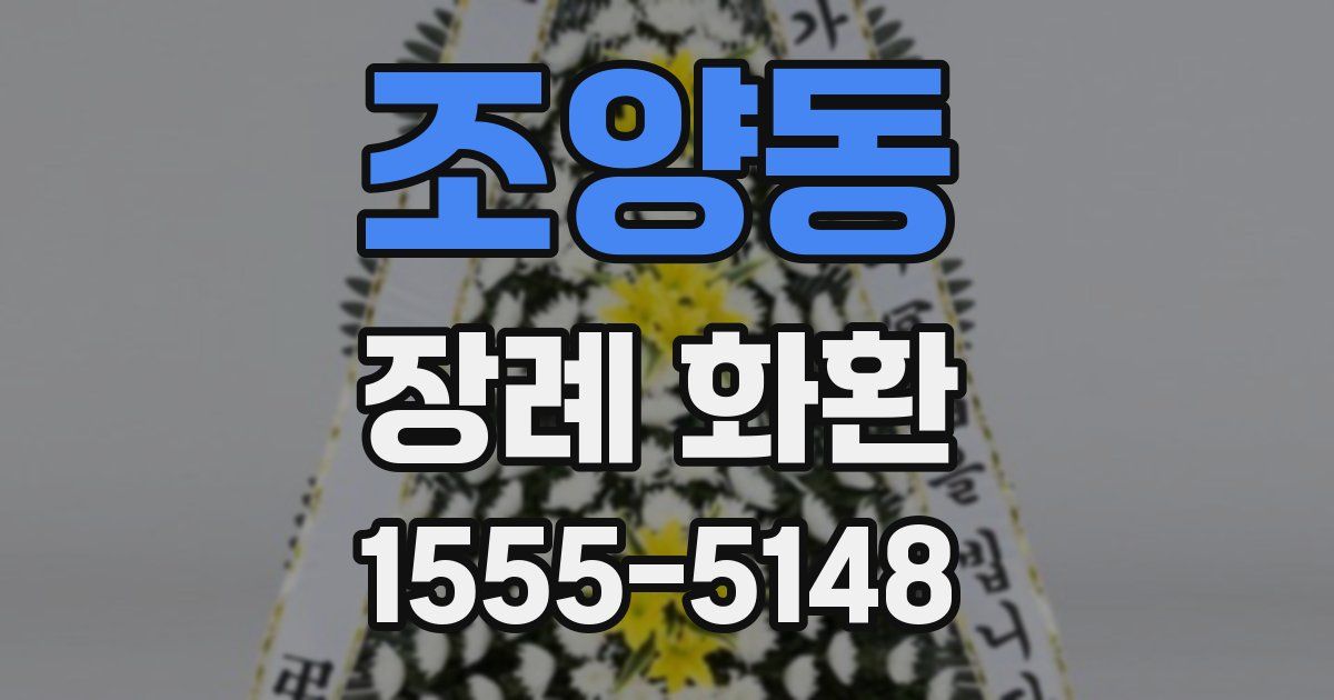 조양동 장례 화환