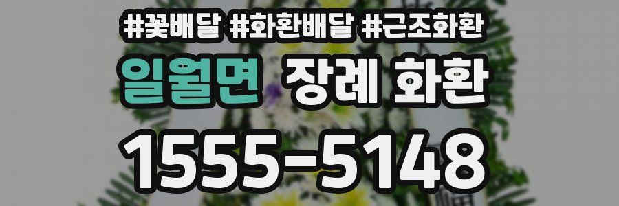일월면 장례 화환