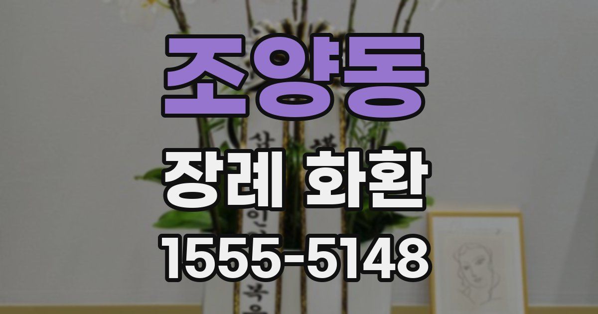 조양동 장례 화환