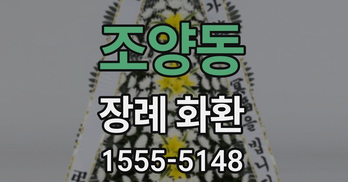 조양동 장례 화환