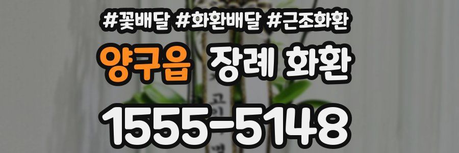 양구읍 장례 화환
