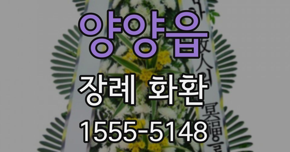 양양읍 장례 화환