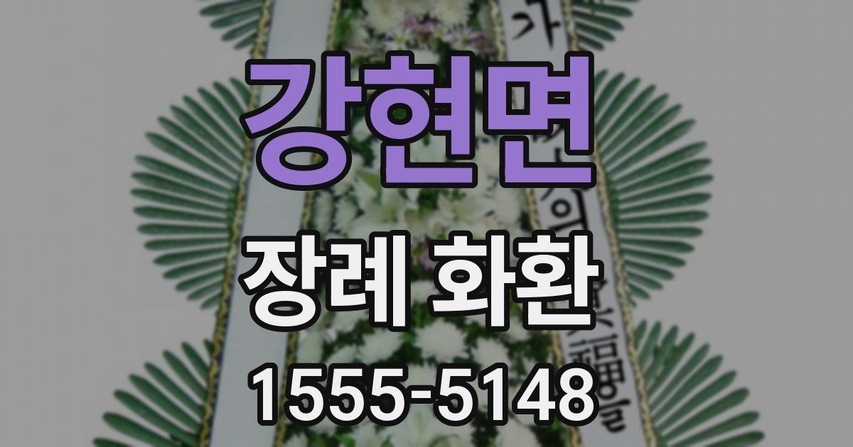 강현면 장례 화환