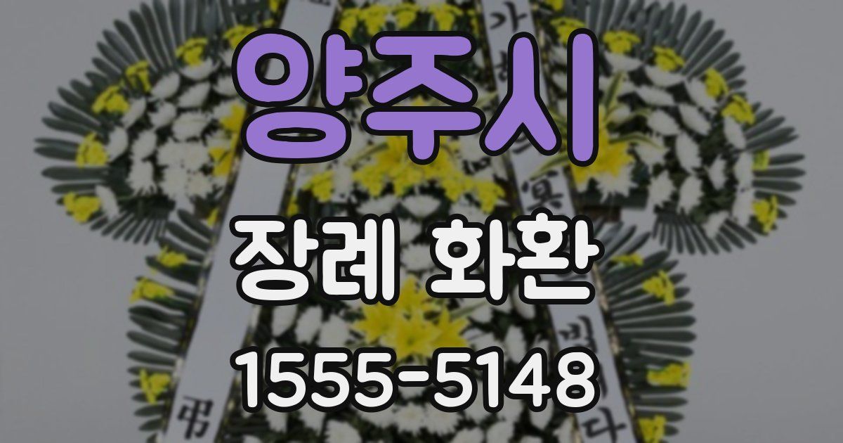 양주시 장례 화환