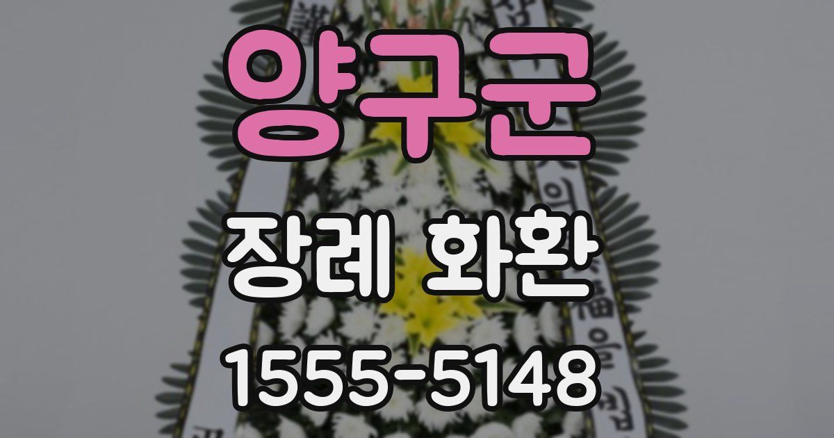 양구군 장례 화환