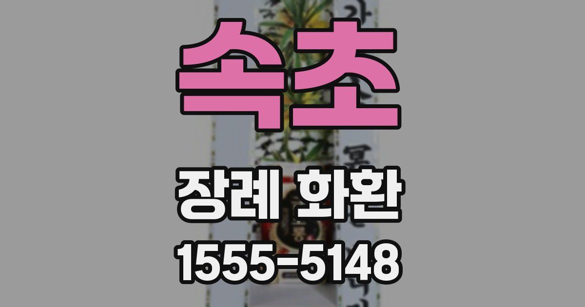속초 장례 화환