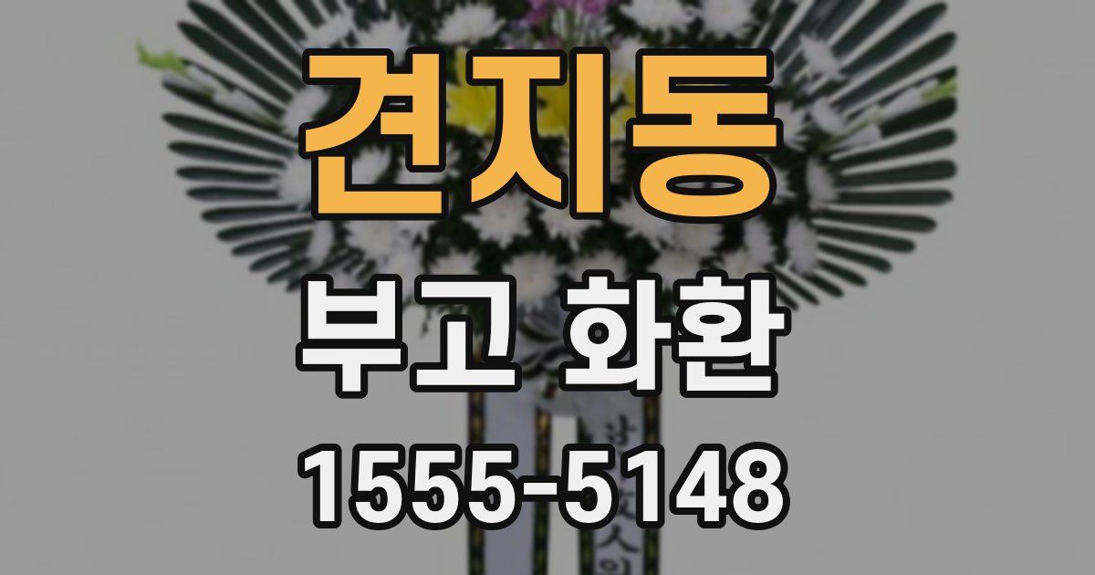 견지동 부고 화환