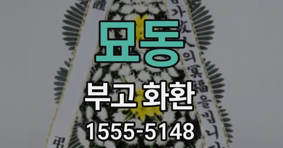 묘동 부고 화환