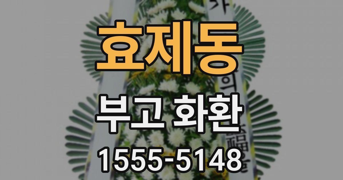 효제동 부고 화환