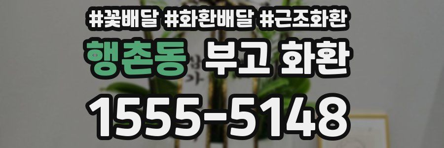 행촌동 부고 화환