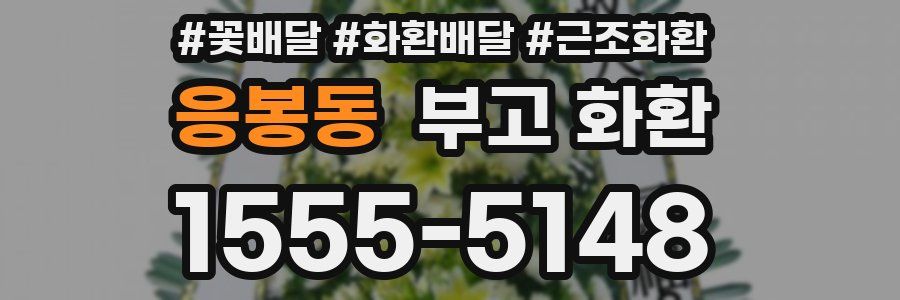 응봉동 부고 화환
