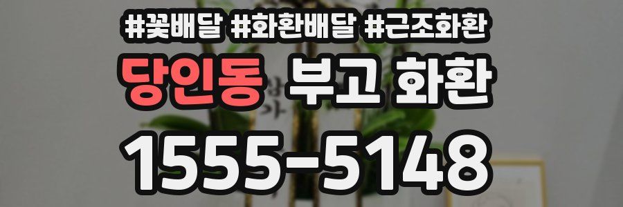 당인동 부고 화환
