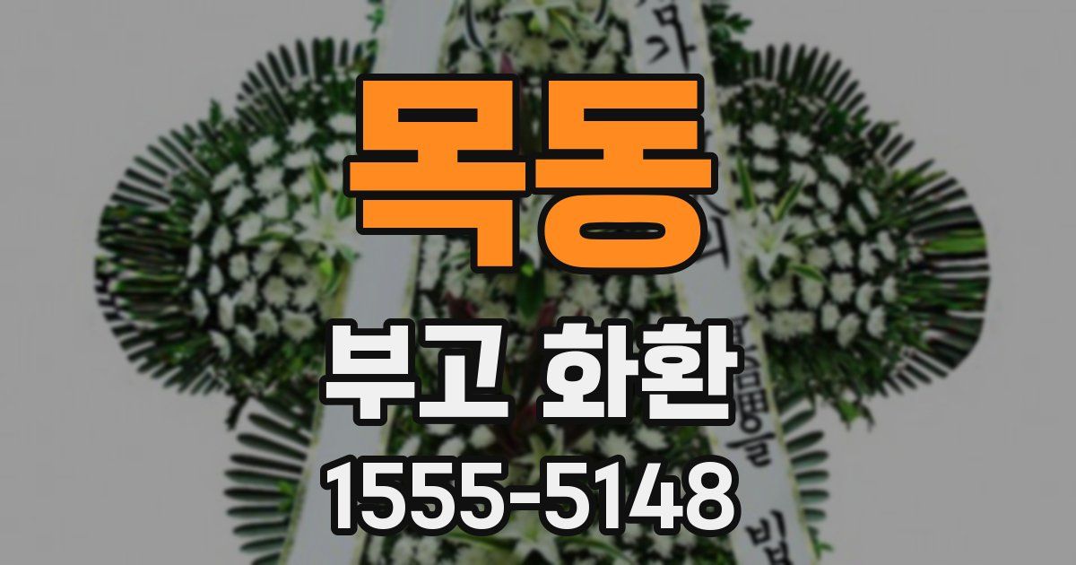목동 부고 화환