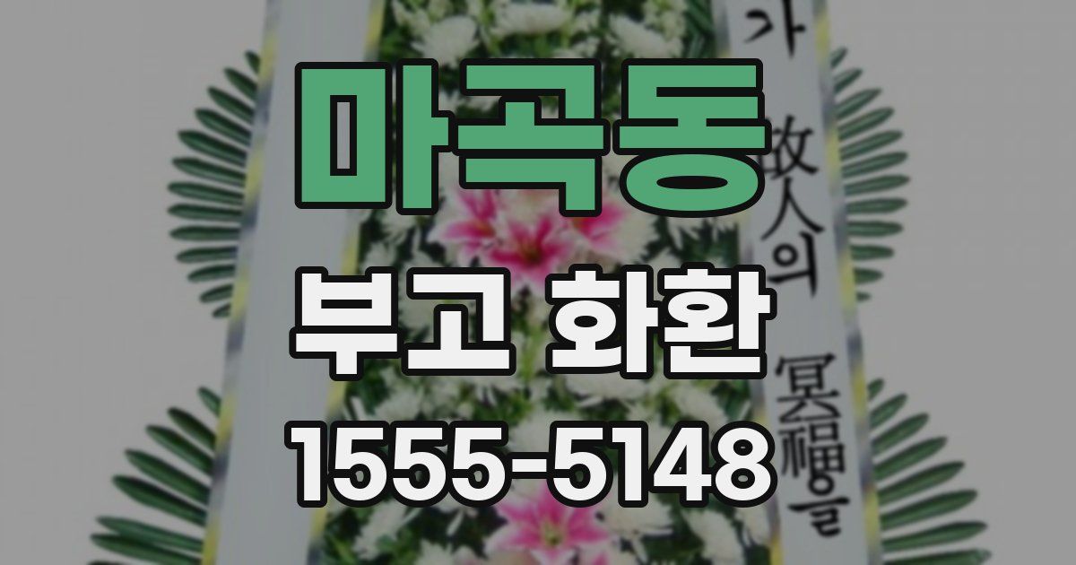 마곡동 부고 화환
